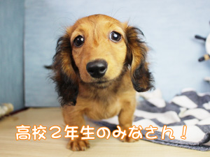 高校２年生対象のトライアルセミナーに参加をしませんか？